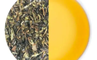 Fresh green tea leaves and natural blends